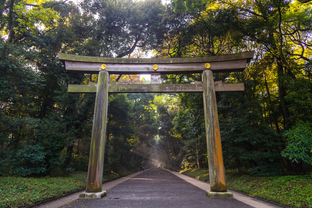 The Meiji Jingu Story: Creating a Sustainable Ecosystem in Tokyo