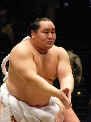 Asashoryu, Sumo wrestler