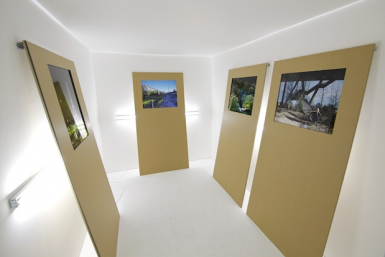 PROGRESS - Ives Maes, installation view