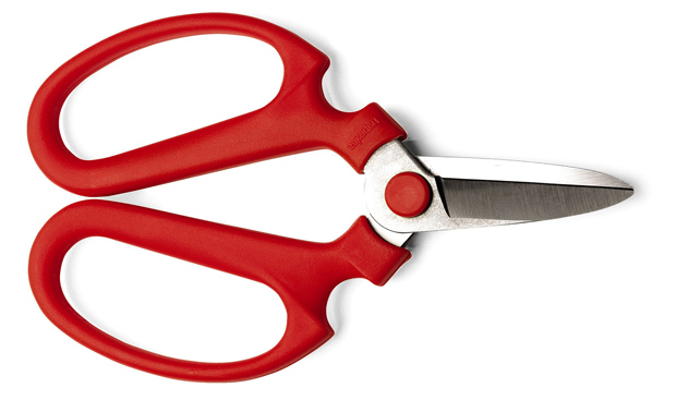 'Niigata Meister' gardening scissors