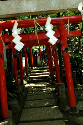Hato no Mori Hachiman Shrine