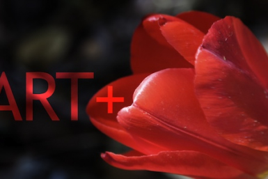 Art+Yoshihiro Suda