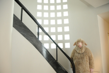 Blank Musuem at Hara Museum of Contemporary Art