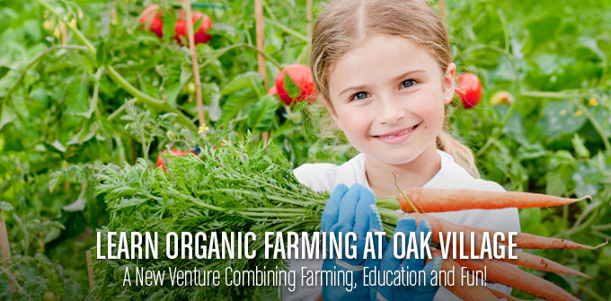 Learn Organic Farming at Oak Village