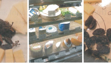 Fermier cheese store