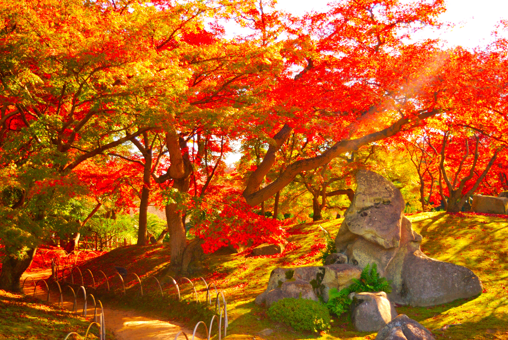 Korakuen Garden