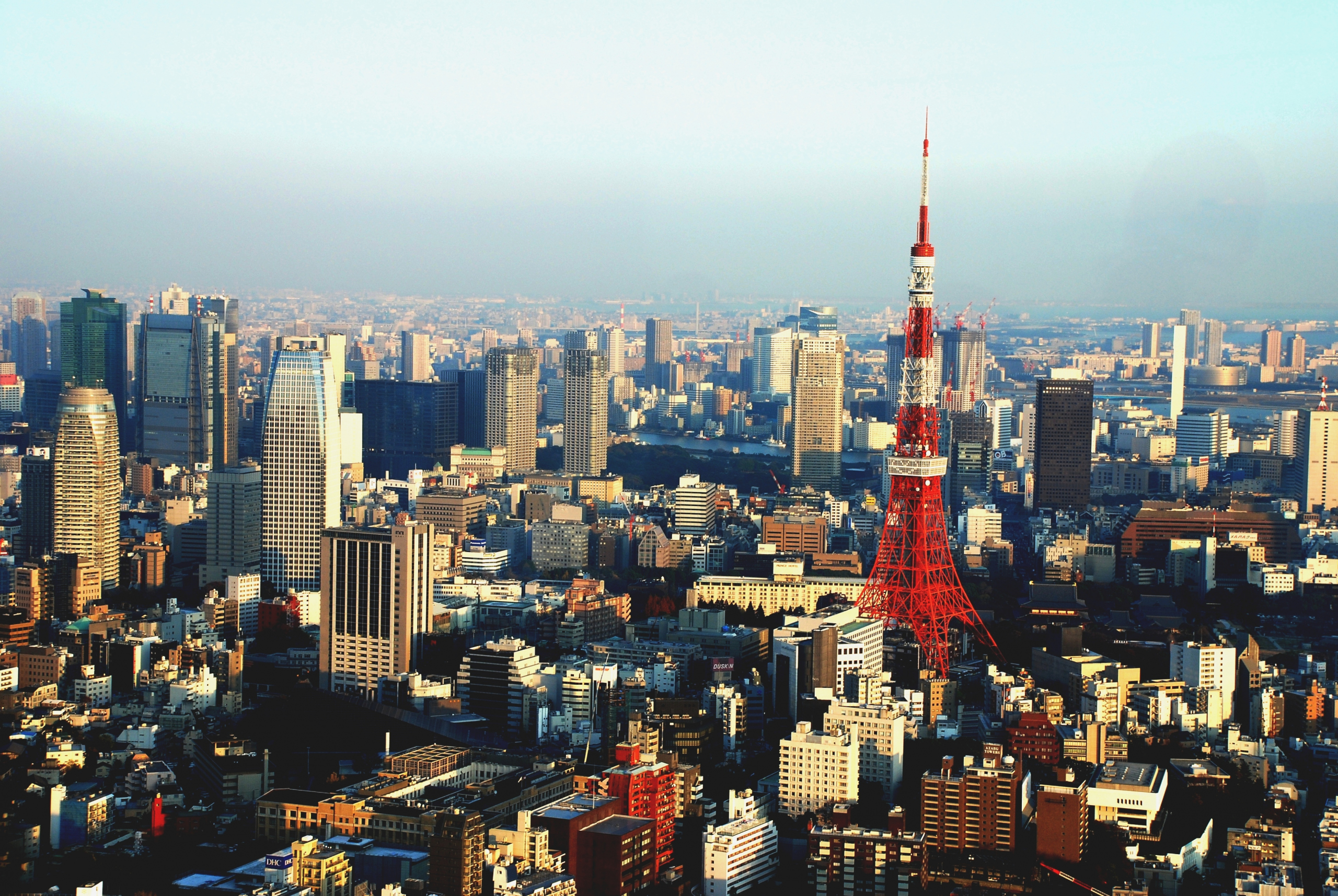 Tokyo_Tower_and_surrounding_area