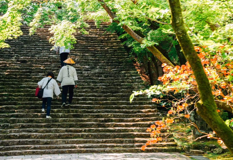 O-henro: Walking the pilgrimage of 88 temples in Shikoku