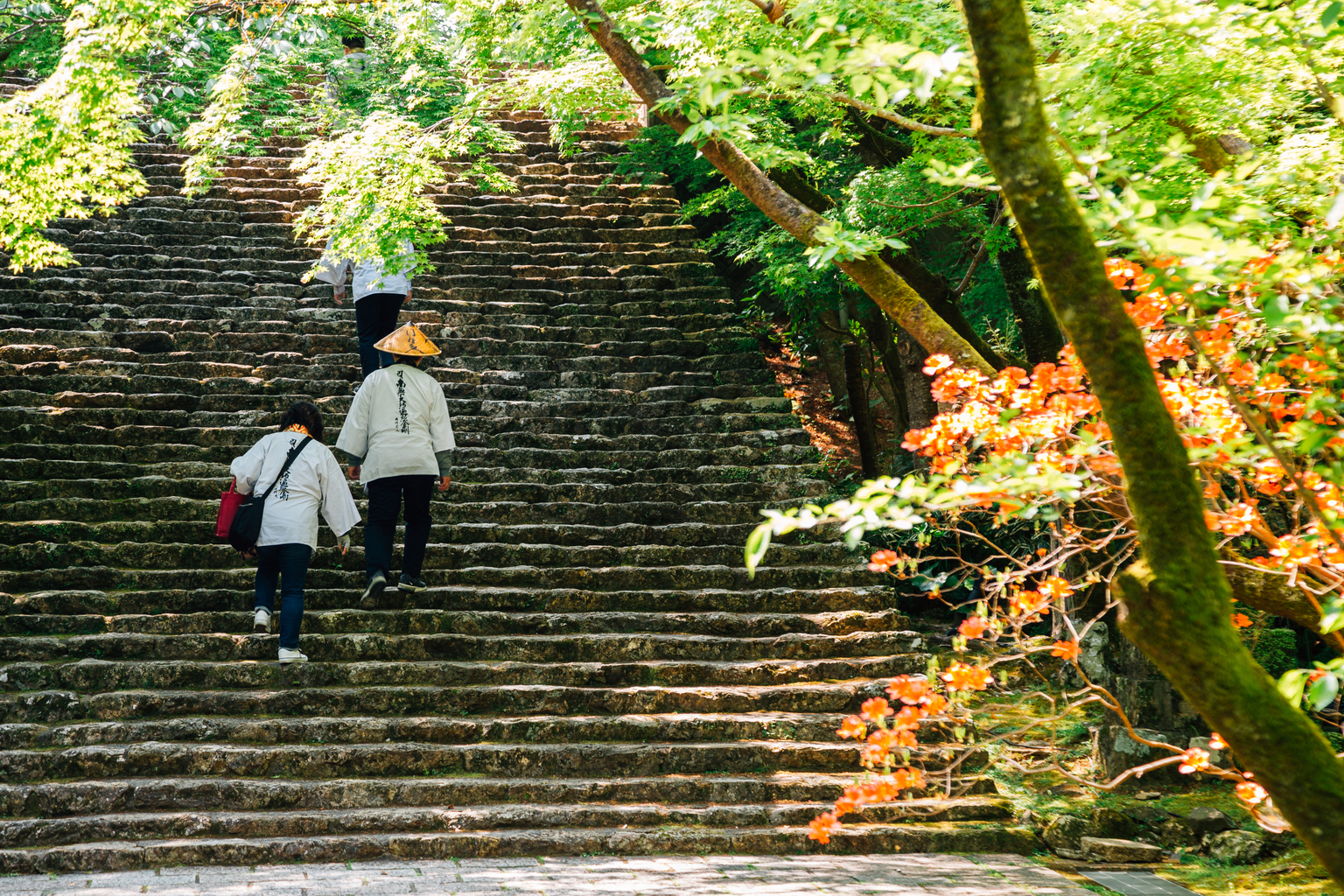 O-henro: Walking the pilgrimage of 88 temples in Shikoku | Travel