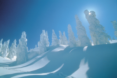 Tokyo-weekender-akita