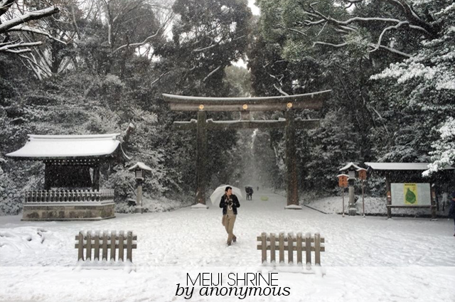 The Weekender’s Tokyo Snowpocalypse Photo Favorites
