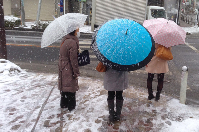 The great debate of 2014: Umbrellas in a snowstorm