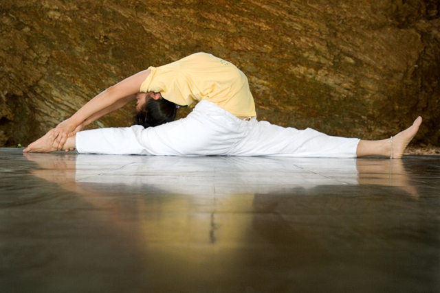 Sivananda Yoga: Putting the Fundamentals in Focus