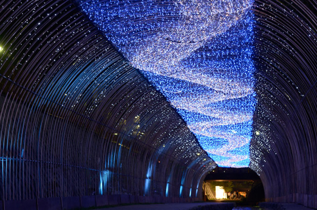 Tanabata in Kyoto: A Night Full of Stars