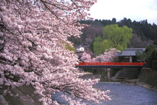Takayama-in-Spring