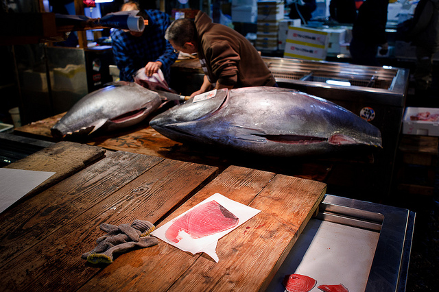 Tsukiji Fish Market’s Relocation Suddenly Delayed