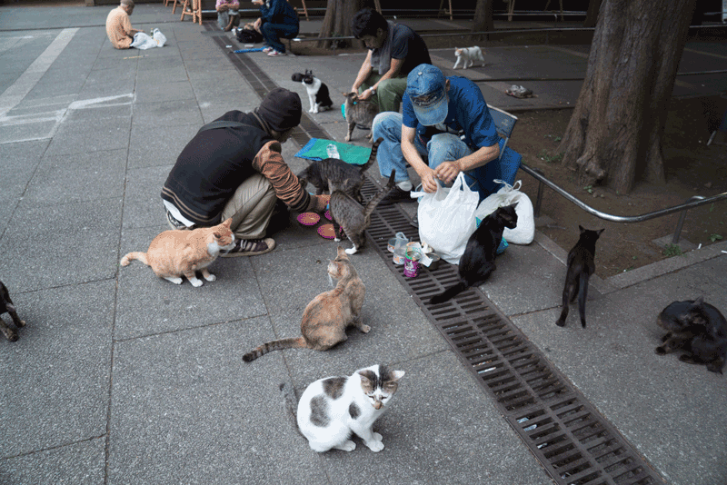 ikebukuro-cat-park