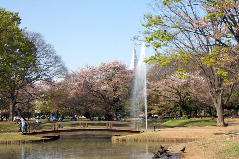 The Ins and Outs of Yoyogi Park | Guides, Day Trips from Tokyo