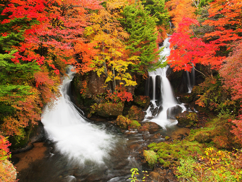 ryuzu-falls-nikko