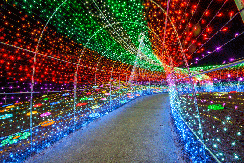 winter-activities-tokyo-illuminations