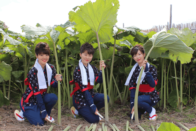 “Maid in Akita”: Introducing the Akita Obako