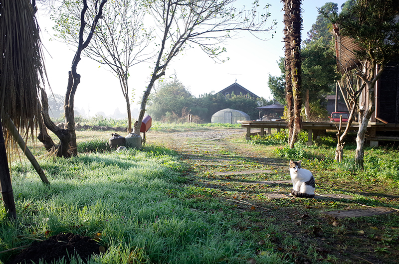 4 Reasons to Stay at Brown’s Field Farm in Chiba