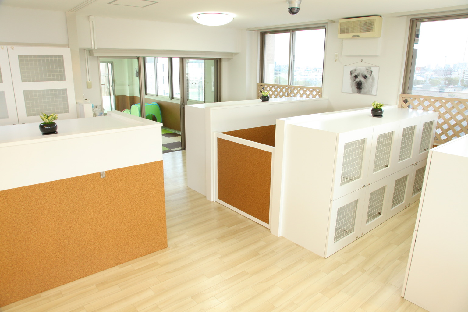 Bellwood Pet Hotel & Spa