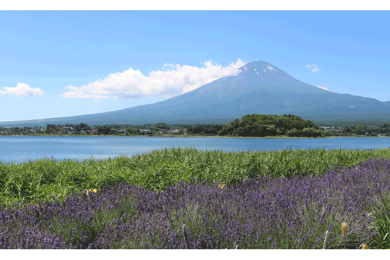 japan-panoramic-tours