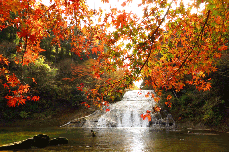 fukuroda-falls-small-foliage