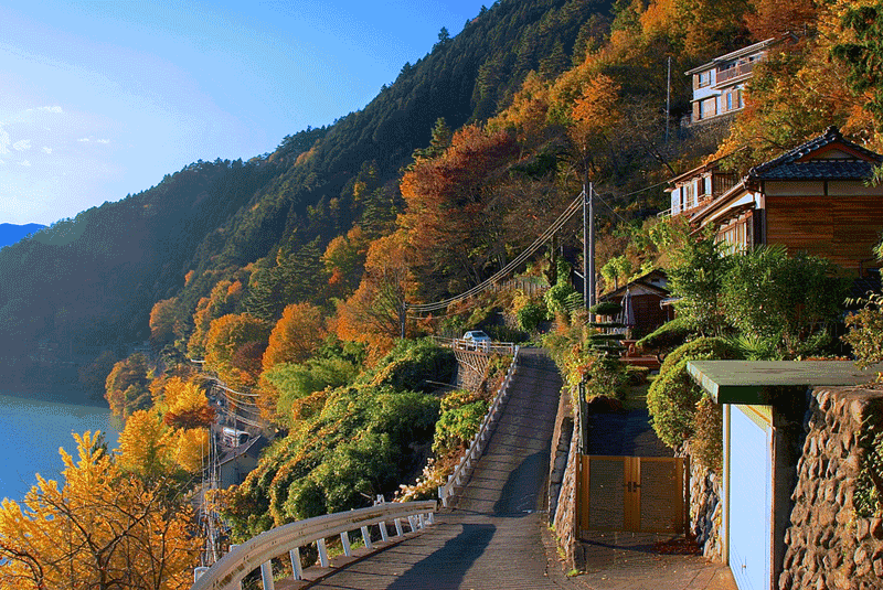 okutama-fall-foliage