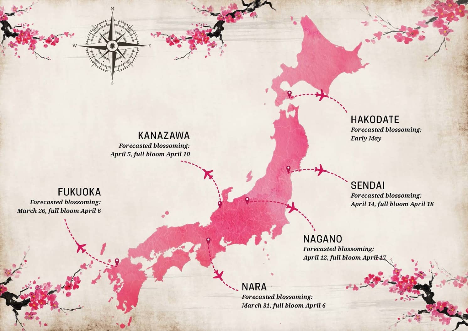 Cherry Blossom Odyssey: Follow the Blooming Flowers from South to North Japan