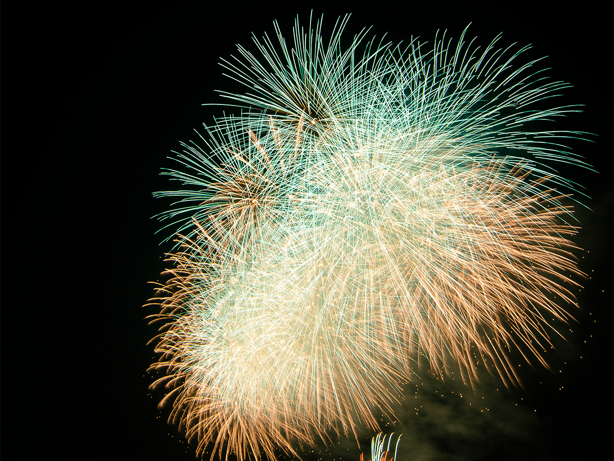 edogawa-fireworks-2