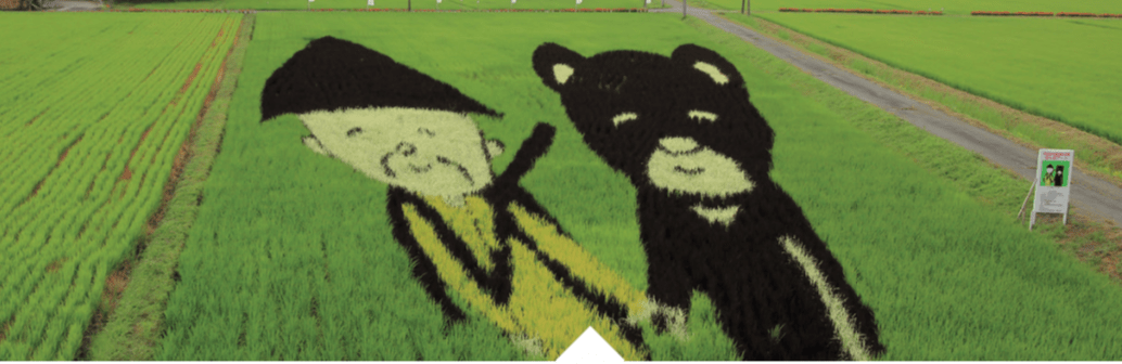 Rice field art in Akita Prefecture