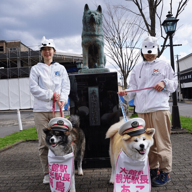 Ako and Asuka two Akita dogs who greet people who arrive at Odate Station