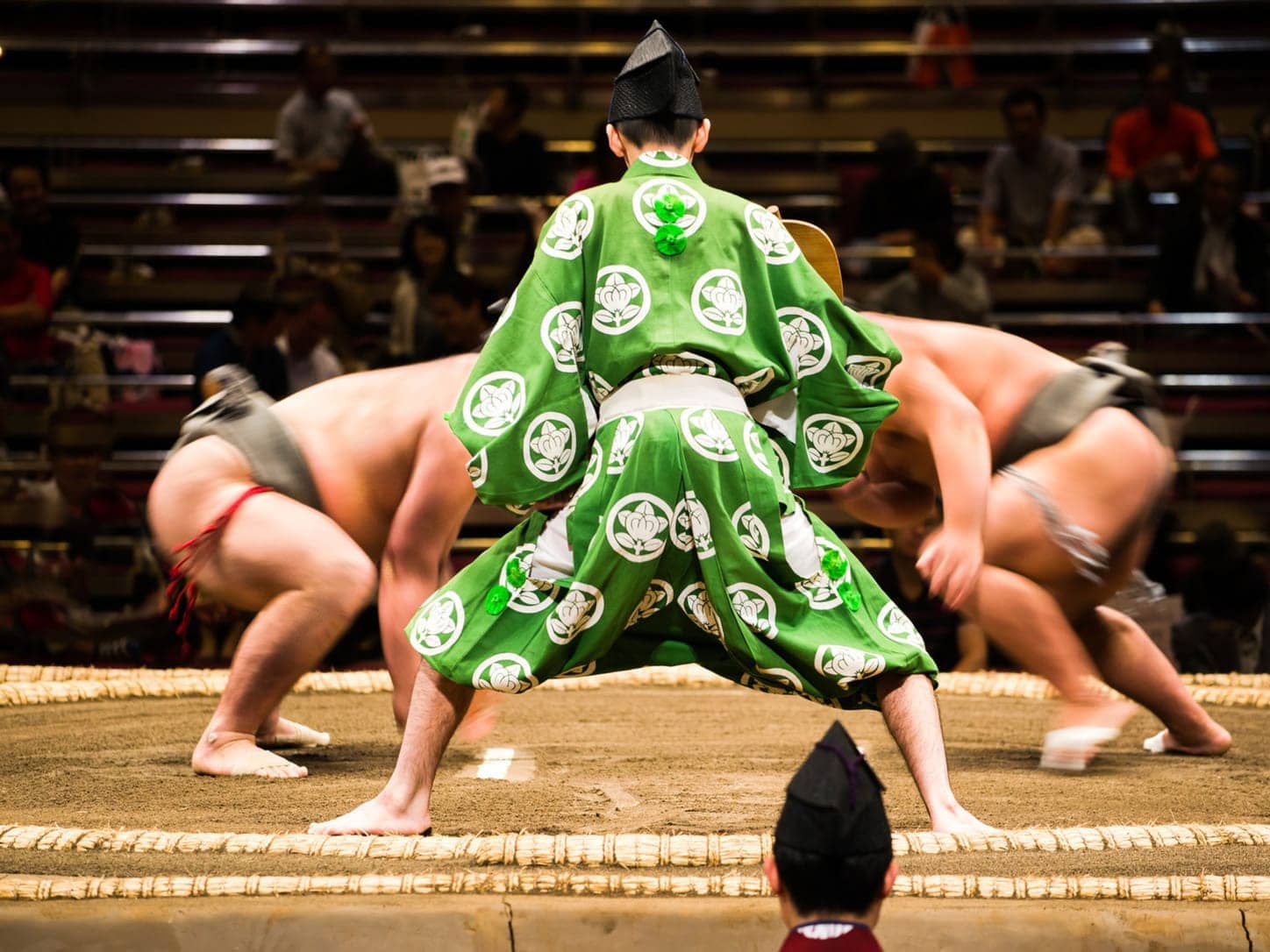 early morning sumo stable tour tokyo