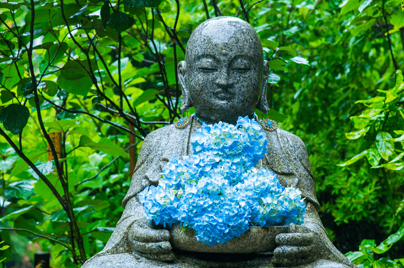 a buddha figure holds hydrangea flowers at jojuin temple in kamakura
