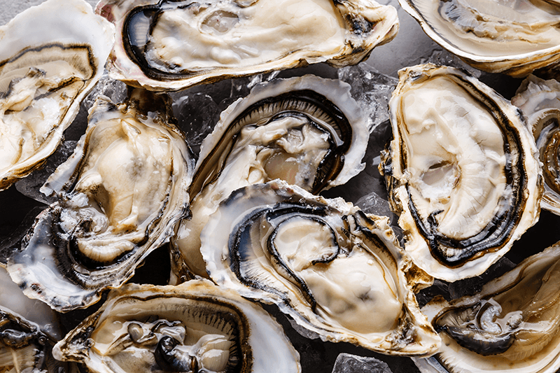 miyagi-oysters