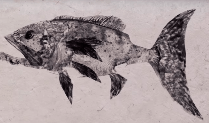 Gyotaku: The Japanese Art of Printing Fish
