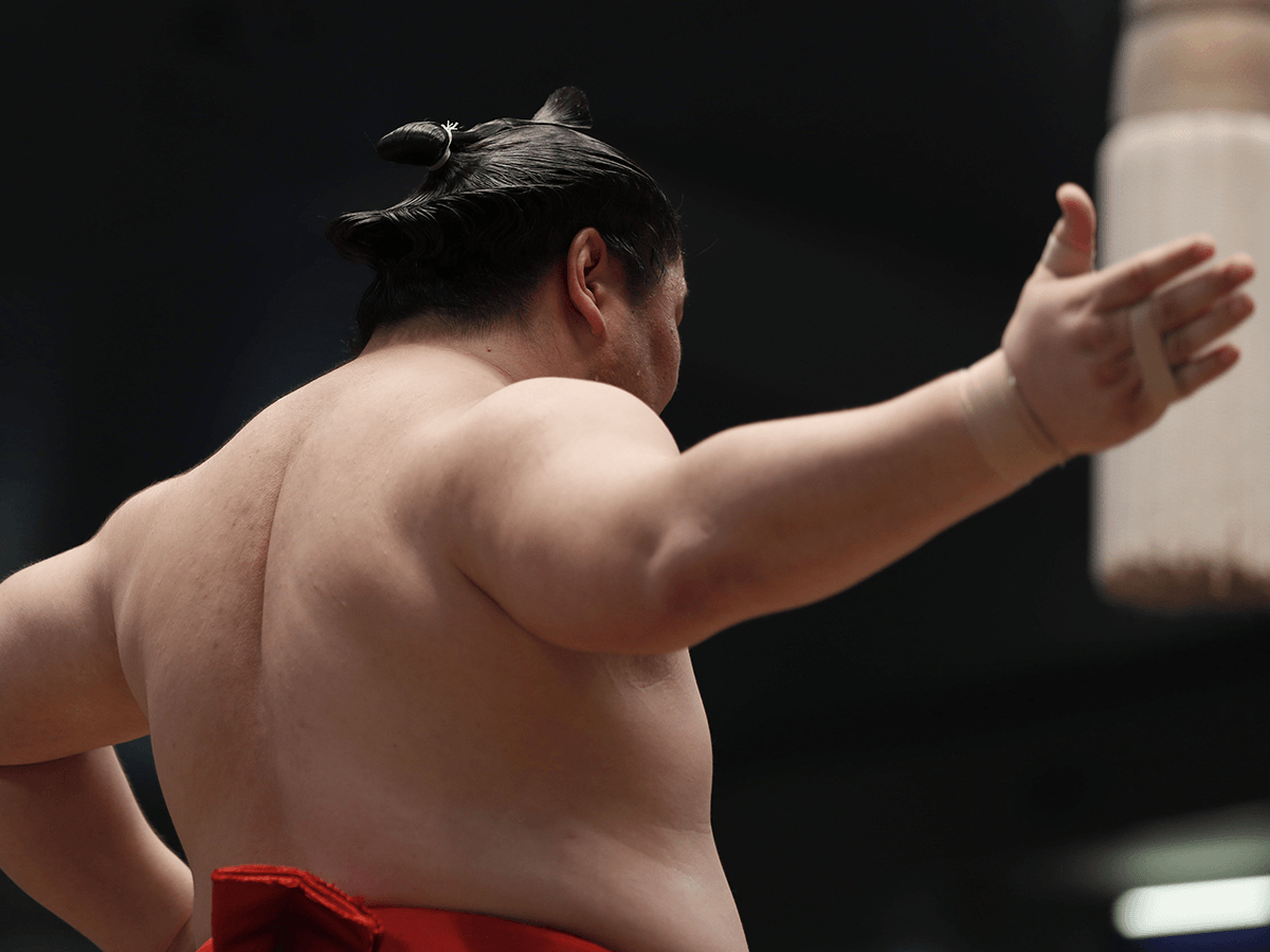 a picture of a sumo wrestler seen from the back