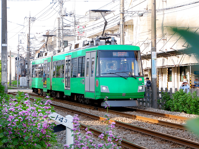 Hop Aboard the Setagaya Tram: A Local’s Guide to the Sights and Highlights