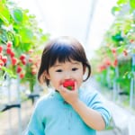 Tokyo Daddy Issues: The Secret Taste of Strawberries