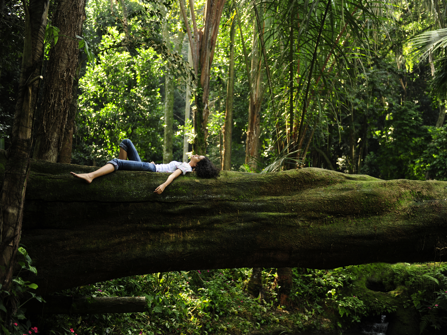 What Is "Forest Bathing" and Can It Really Help Heal Us? | Tokyo Weekender