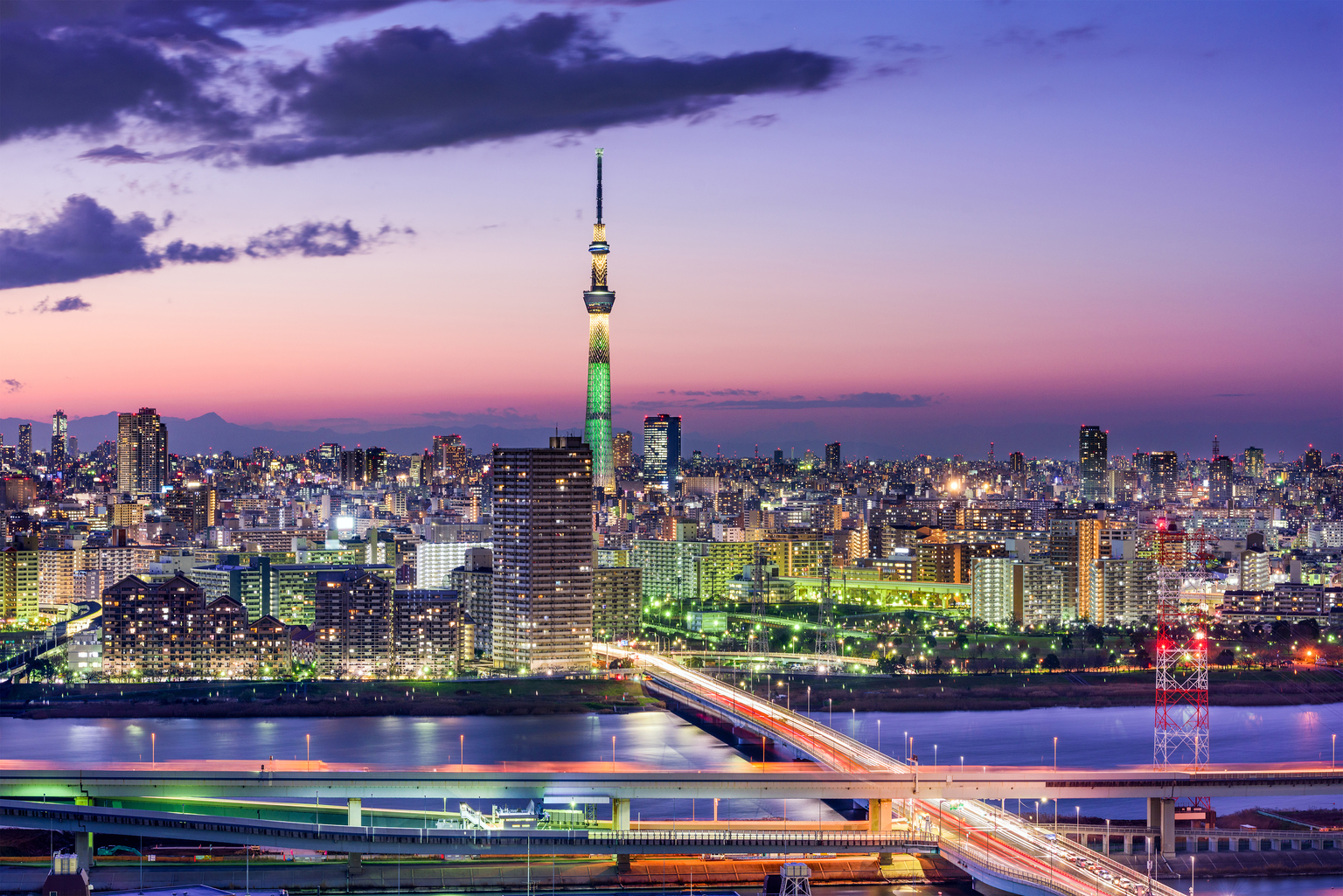 PhotoCosmos: The biggest city in the world , Tokyo - Japan