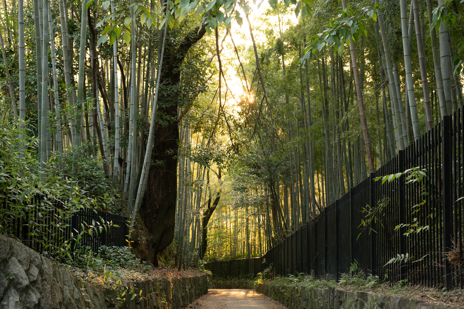 visit japan countryside