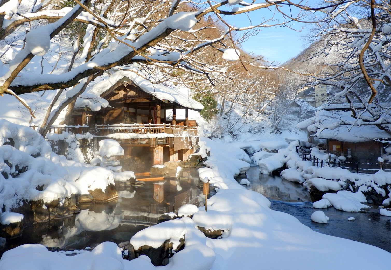 day trips out of tokyo winter
