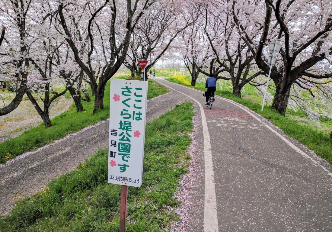 Cycling Routes from Tokyo 