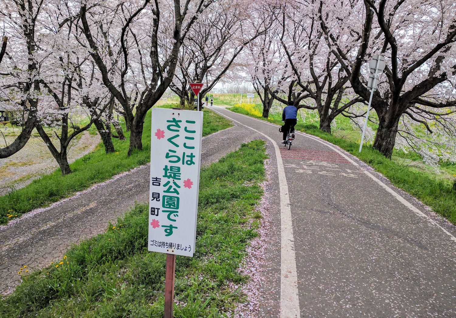 Japan on Two Wheels Top 5 Cycling Routes from Tokyo Tokyo Weekender