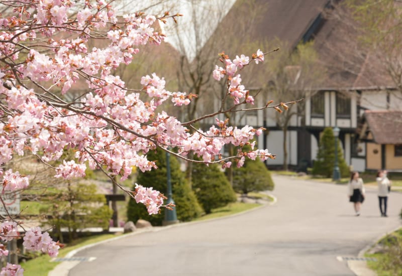 British Hills: A Taste of Britain in the Heart of Fukushima Prefecture
