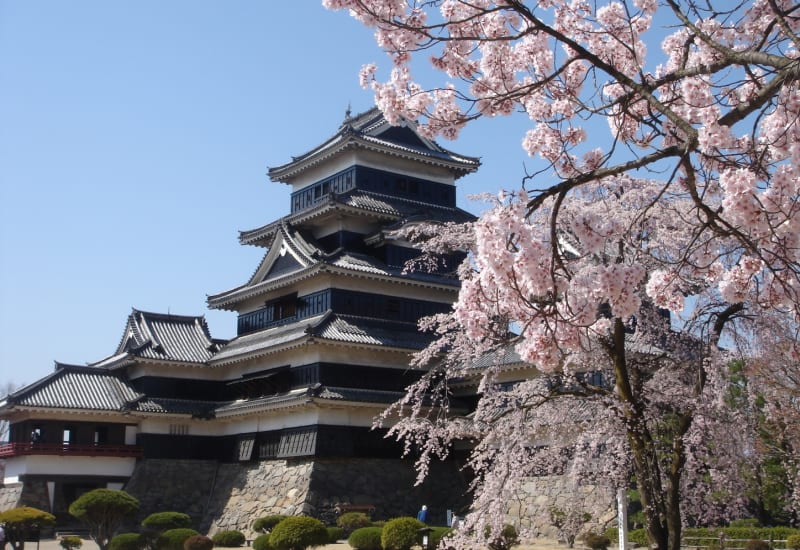Nagano Cherry Blossoms: Escape into the Japanese Alps for Hanami