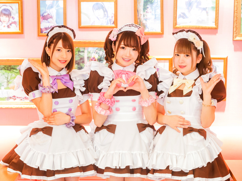 Maid café waitresses from Tokyo cafe